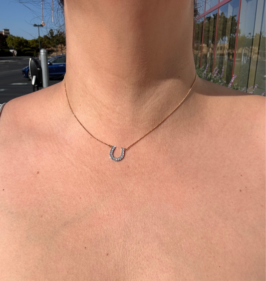 A Horseshoe Necklace
